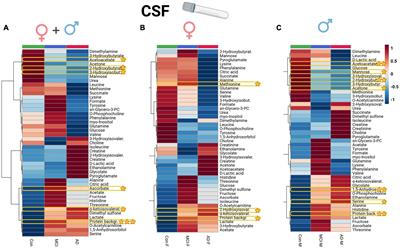 Metabolomic profiling of CSF and blood serum elucidates general and sex-specific patterns for mild cognitive impairment and Alzheimer’s disease patients